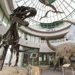 North Carolina Museum of Natural Sciences