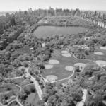 Central Park