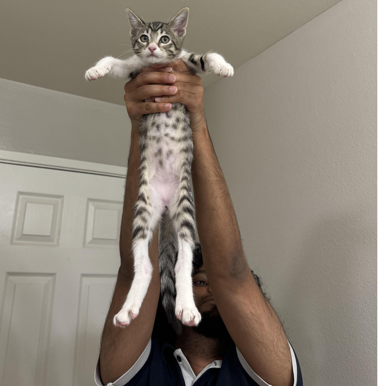 Sept 17, 2023: Mission Acquire Catto Successful!