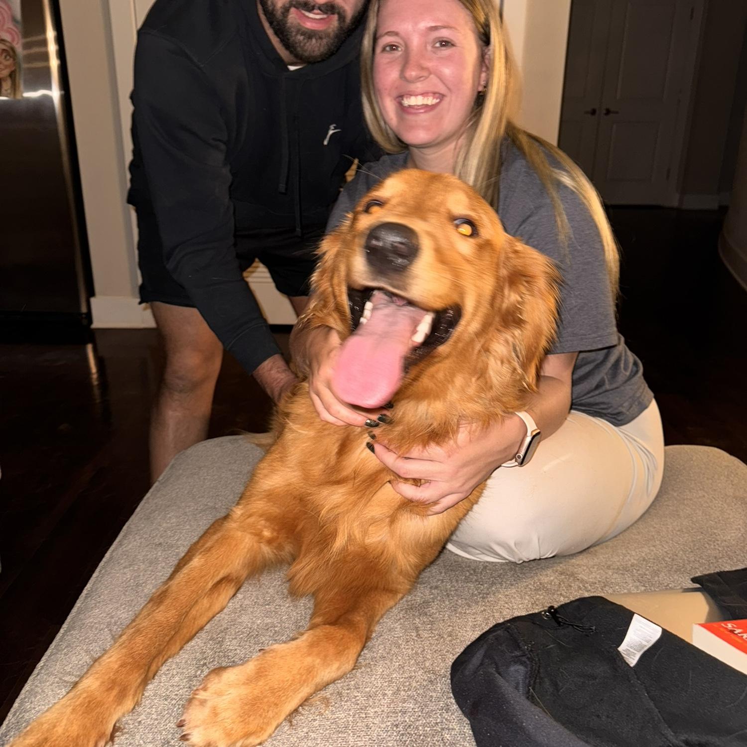 The night we met our Buddy boy💛