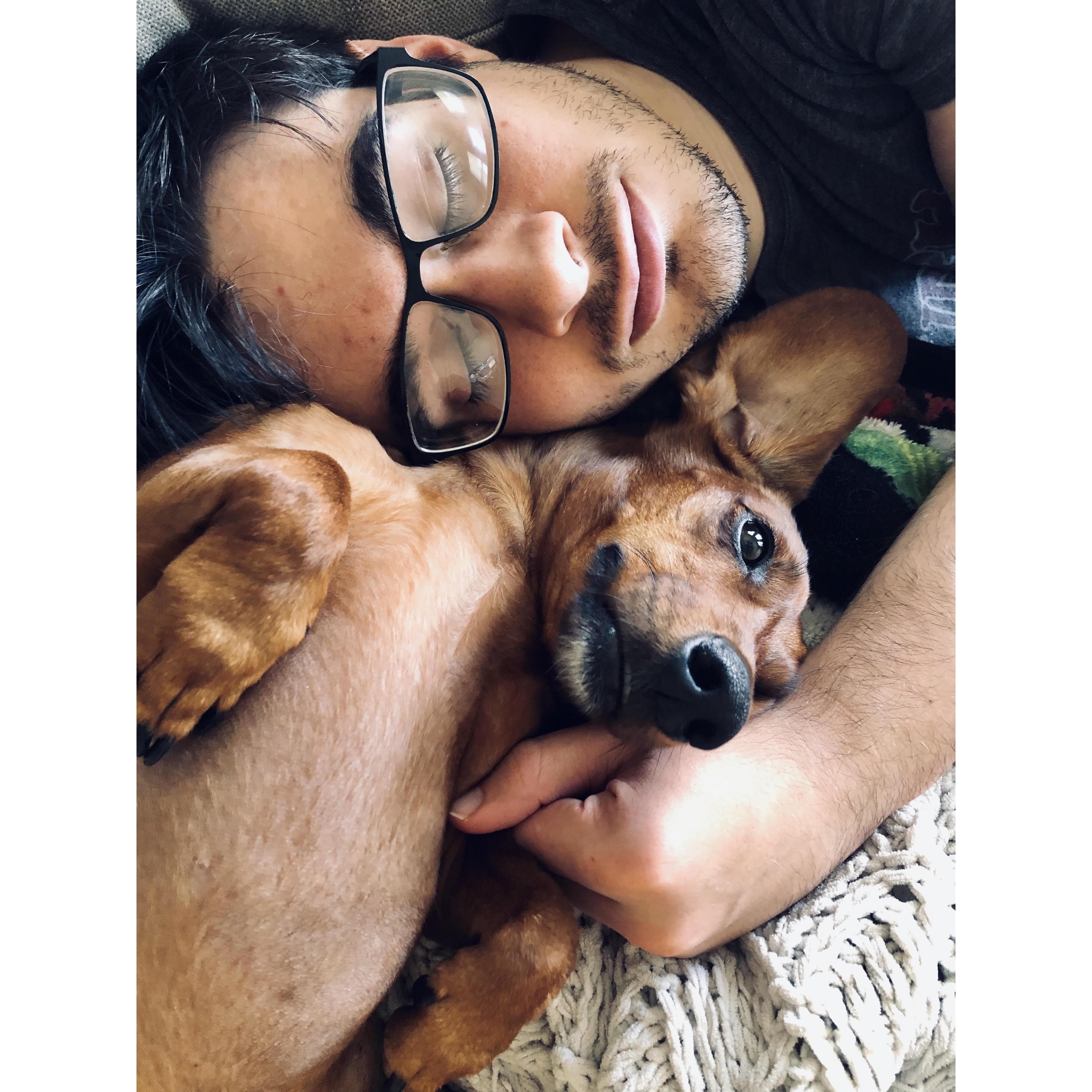 Nap Time with Copper - Part II