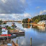 Local Tips for Saugatuck!