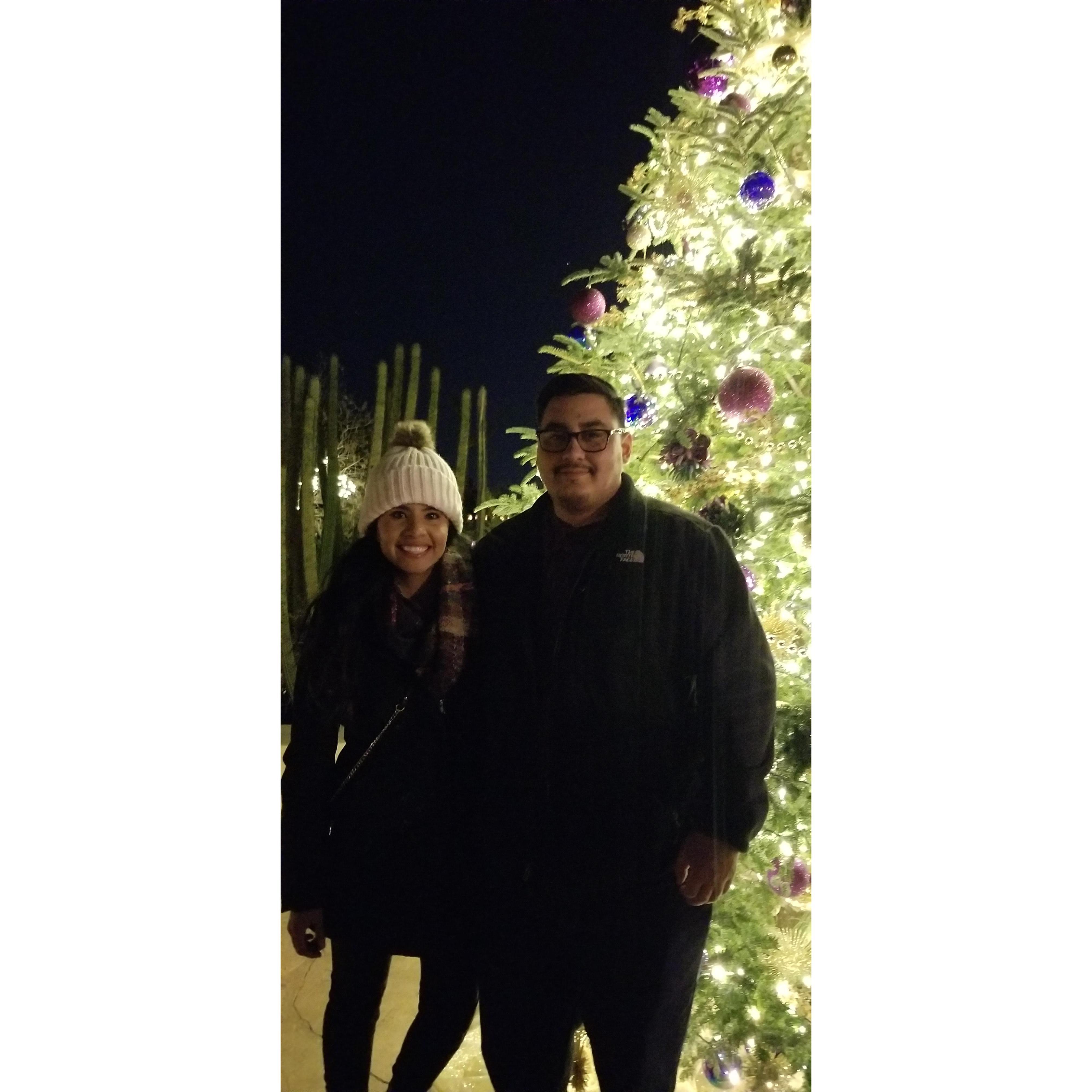 at the zoo Xmas 2018