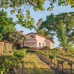 Castoro Cellars Vineyards & Winery