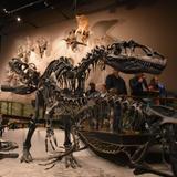 Outing: Natural History Museum of Utah