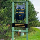 Millie Hill Bat Viewing