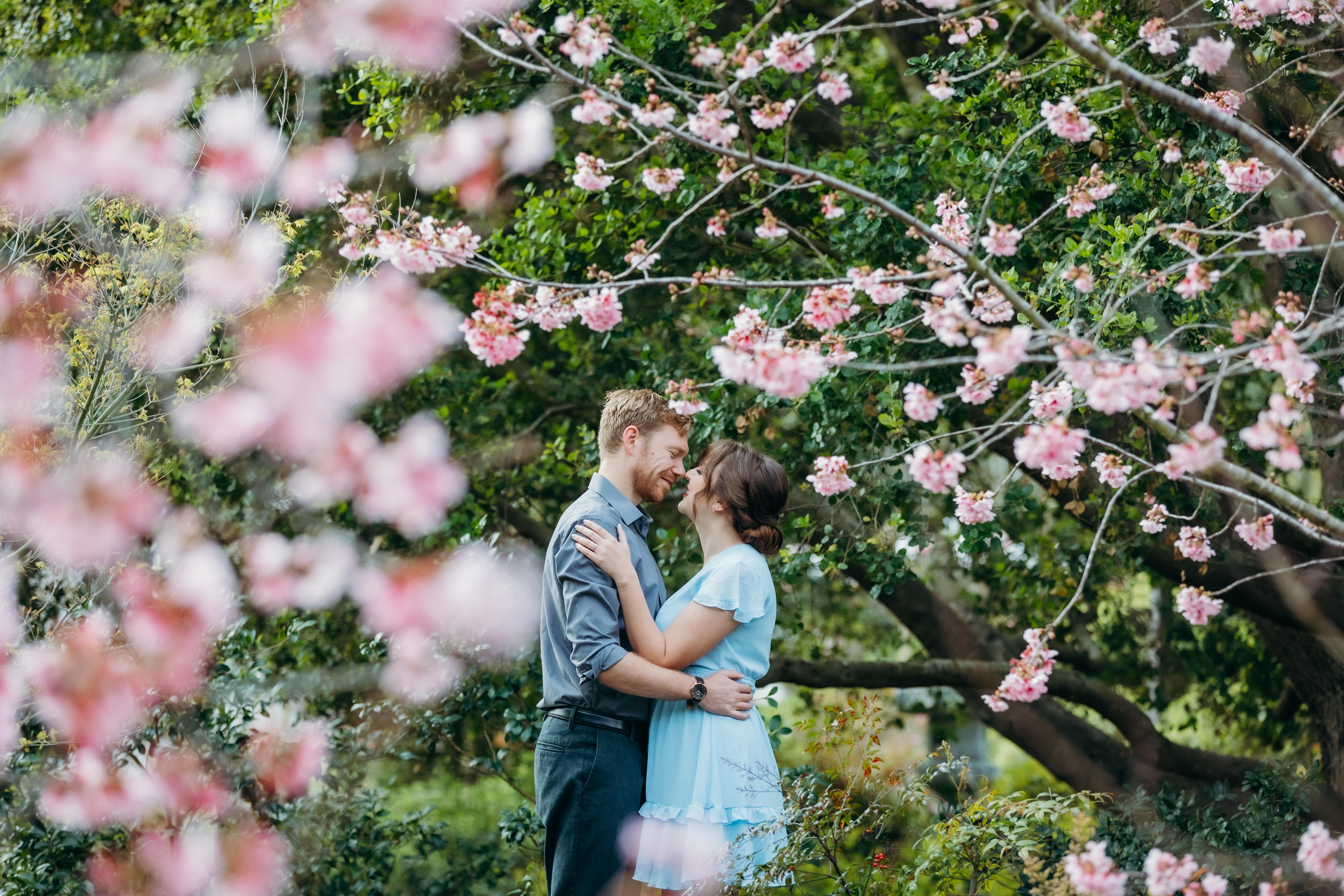 The Wedding Website of Kristi Werry and William Ritchie