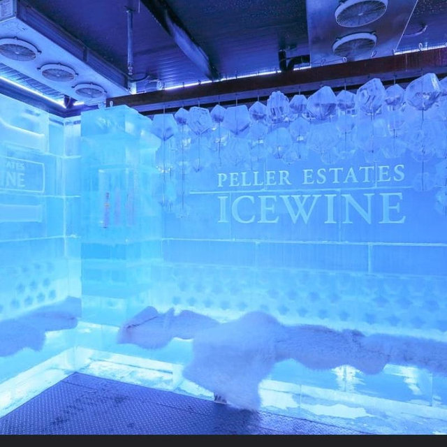 Ice Wine Bar Tour