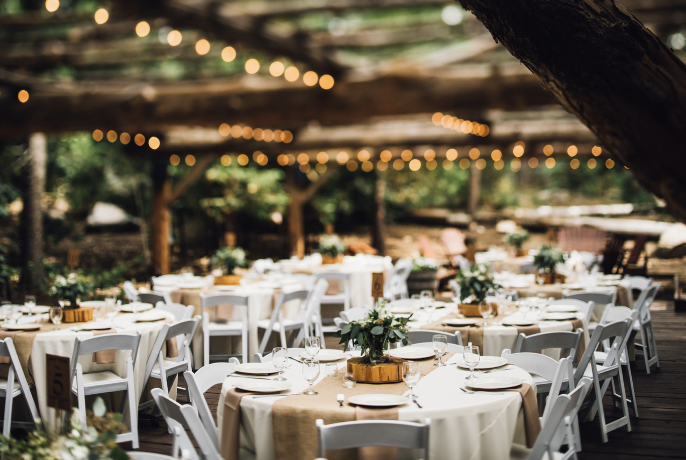 The Wedding Website of Malika Moro and Jared Kowalczyk