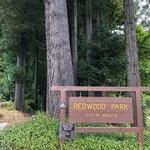 Redwood Park