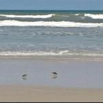 New Smyrna Beach
