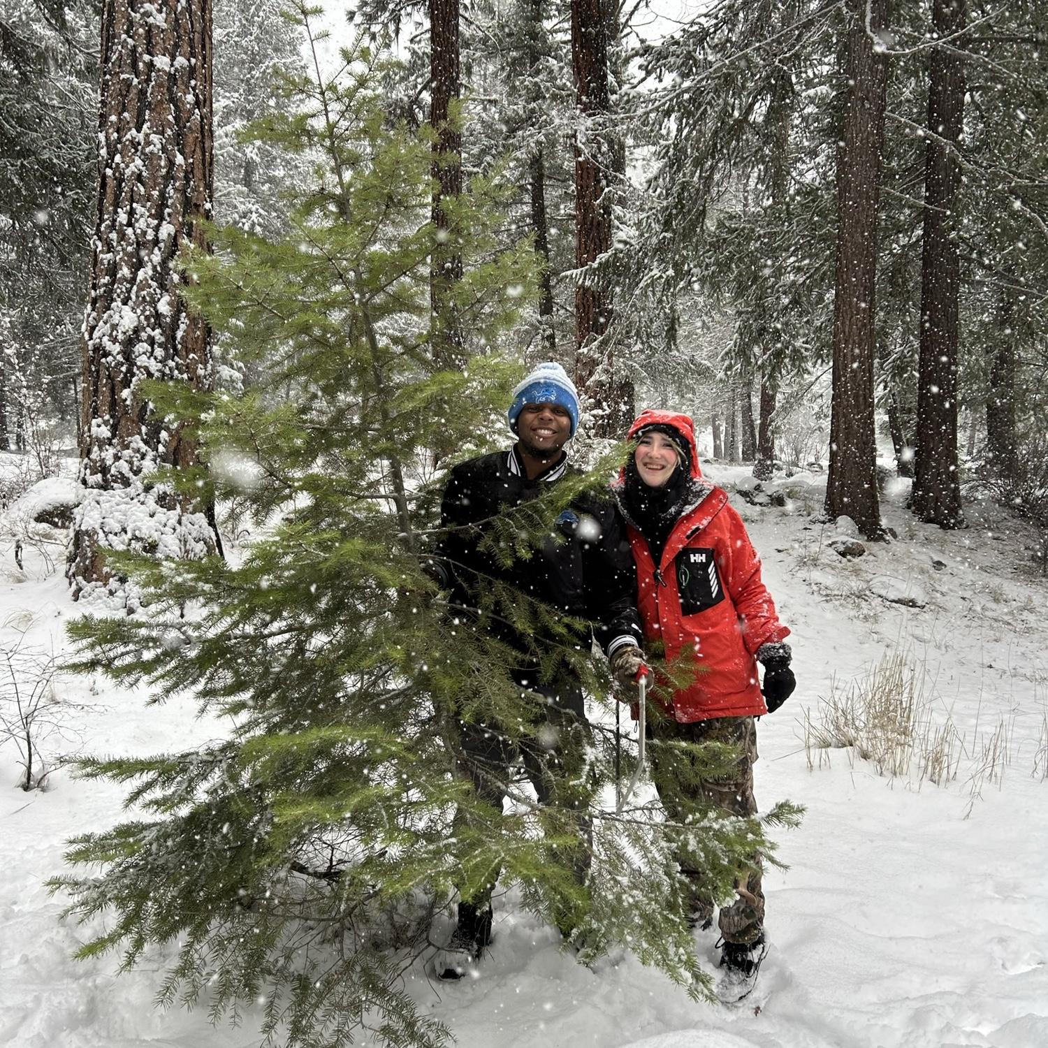 The first Christmas’s Tree we cut down together!