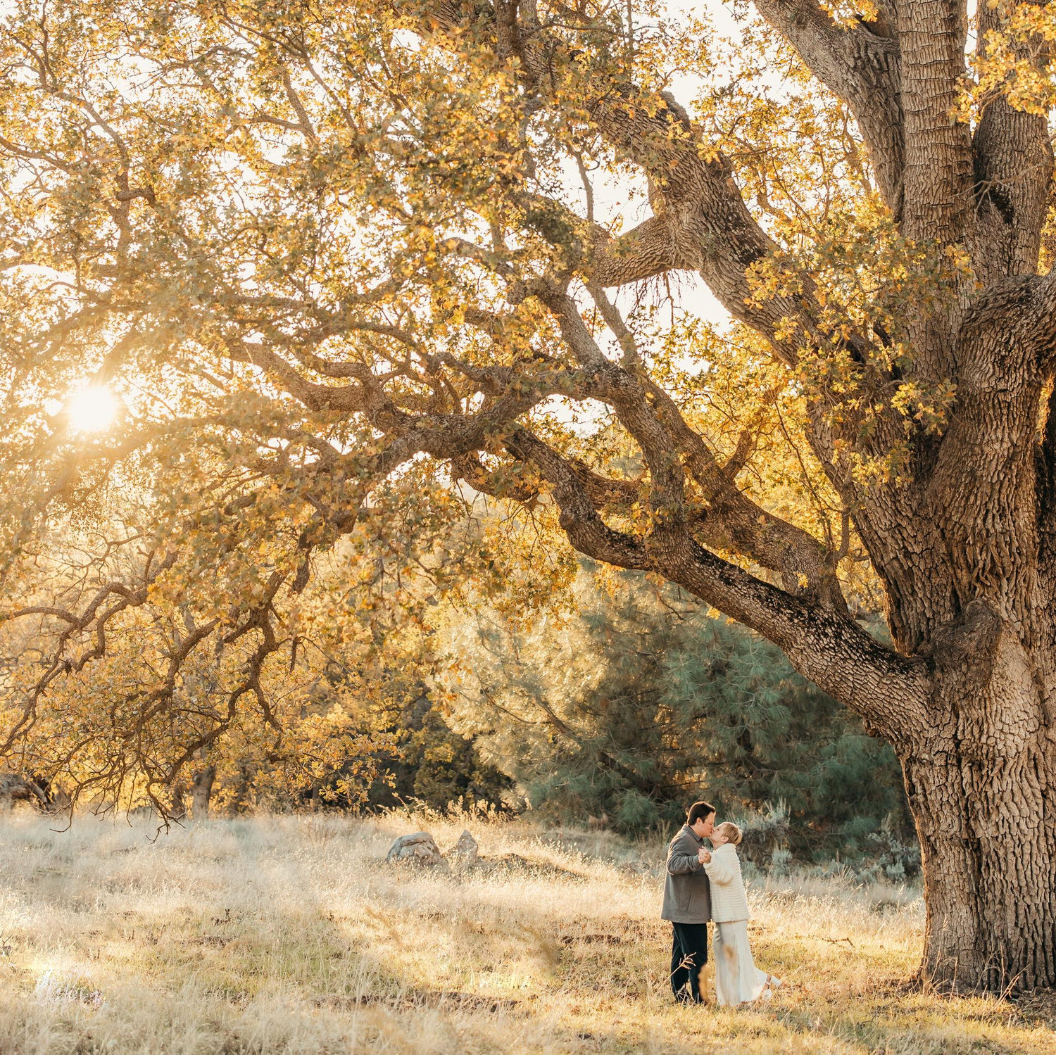 Engagement photos