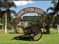Appleton Rum Factory Tour