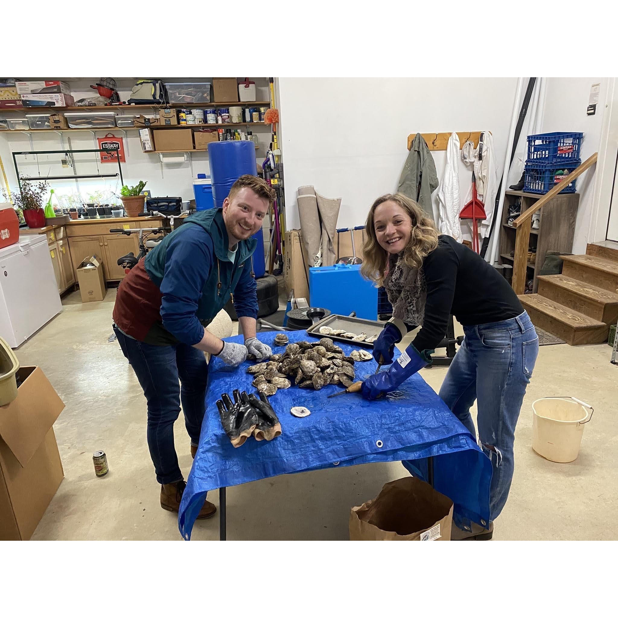 Shucking oysters on the Maryland marsh