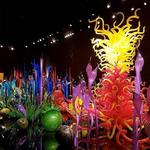 Chihuly Collection