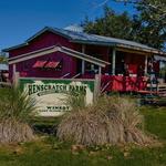 Henscratch Farms