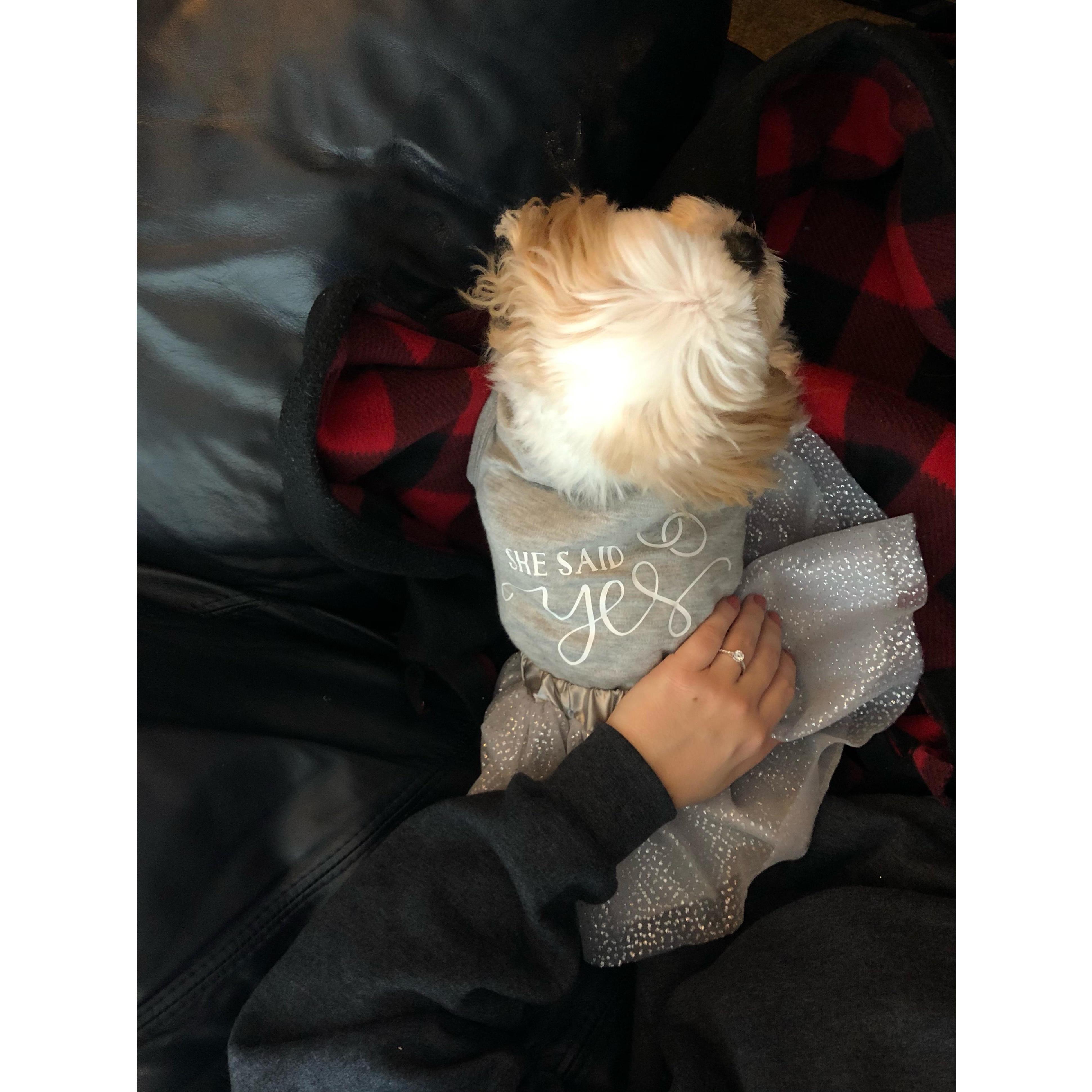 Lily was a special part of the engagement surprise