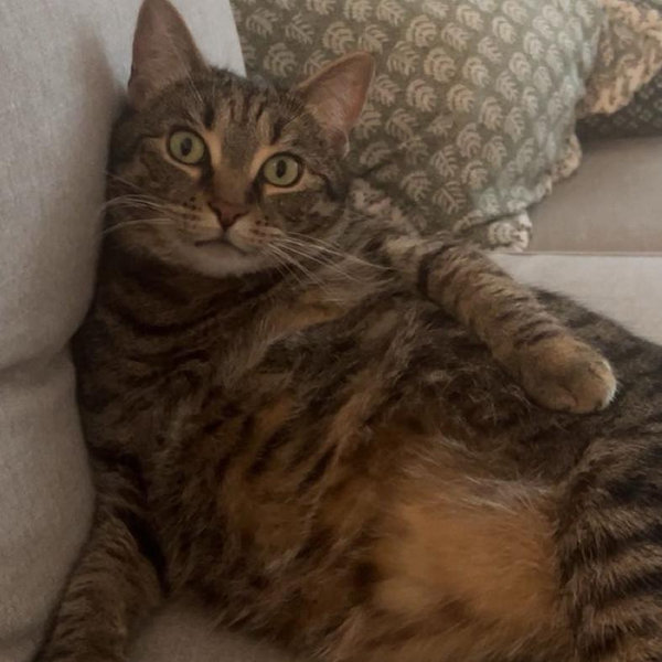 Peaches' Hotel Fund