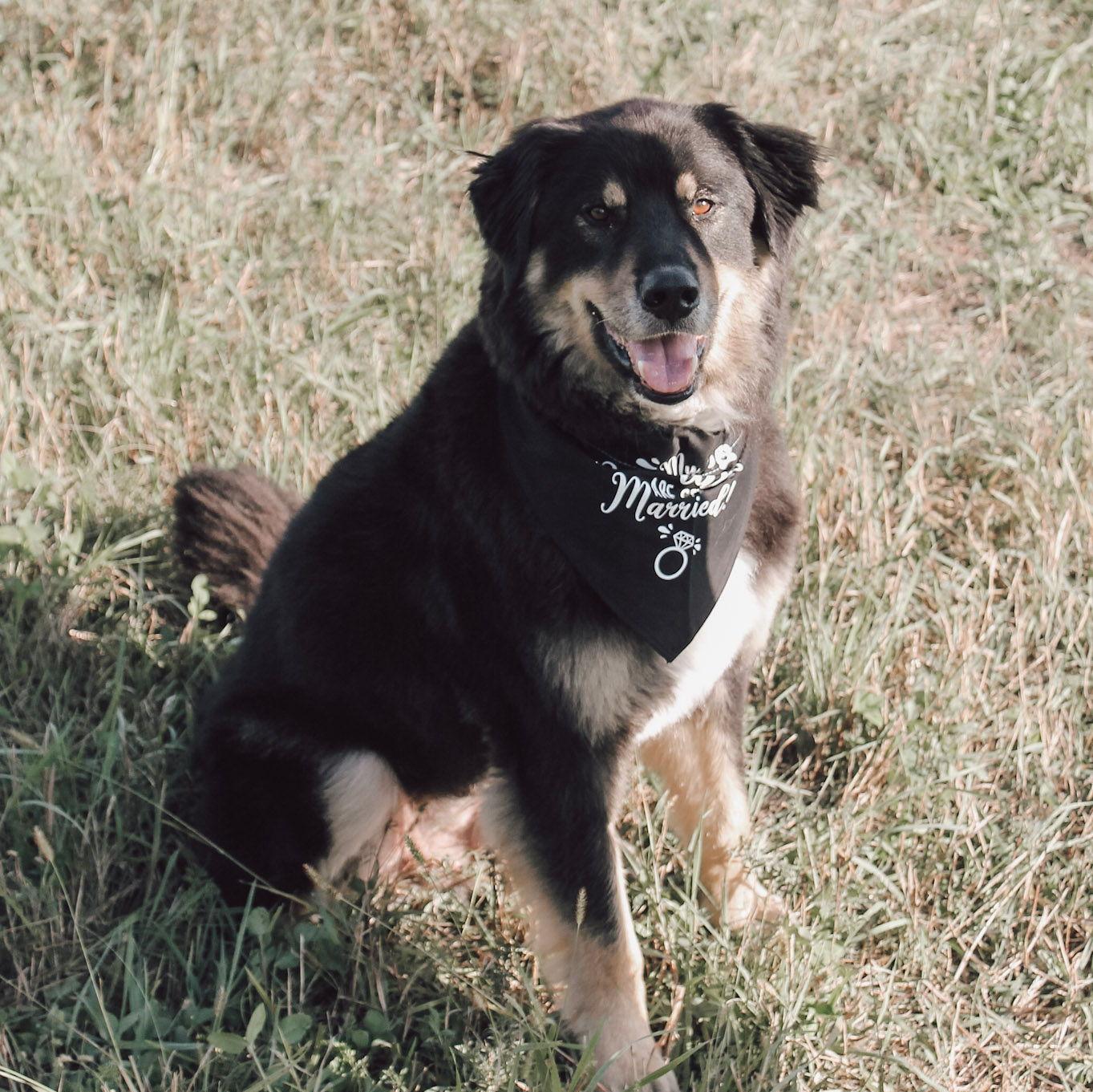 Our "Mr. Photogenic"!