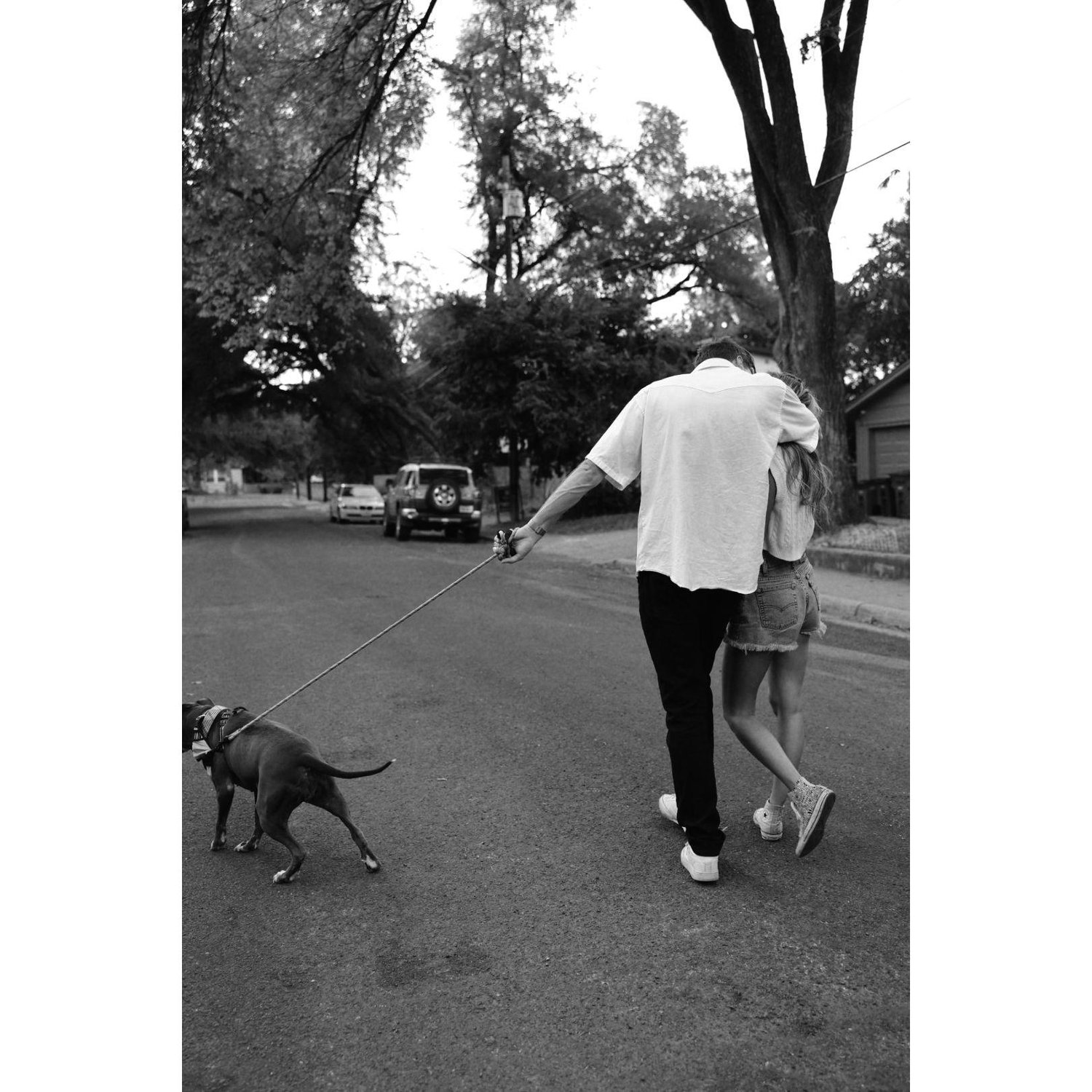 Our neighborhood that we walked Maya everyday in Austin