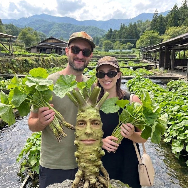 Wasabi Farm Tour