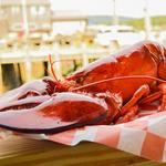 The Nantucket Lobster Trap