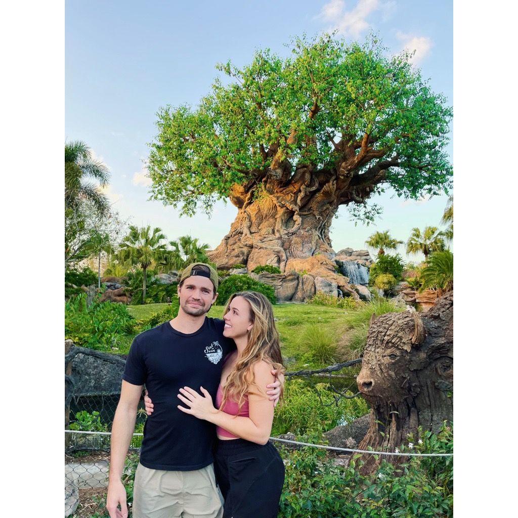 Disney's Animal Kingdom in 2021