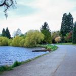 Green Lake