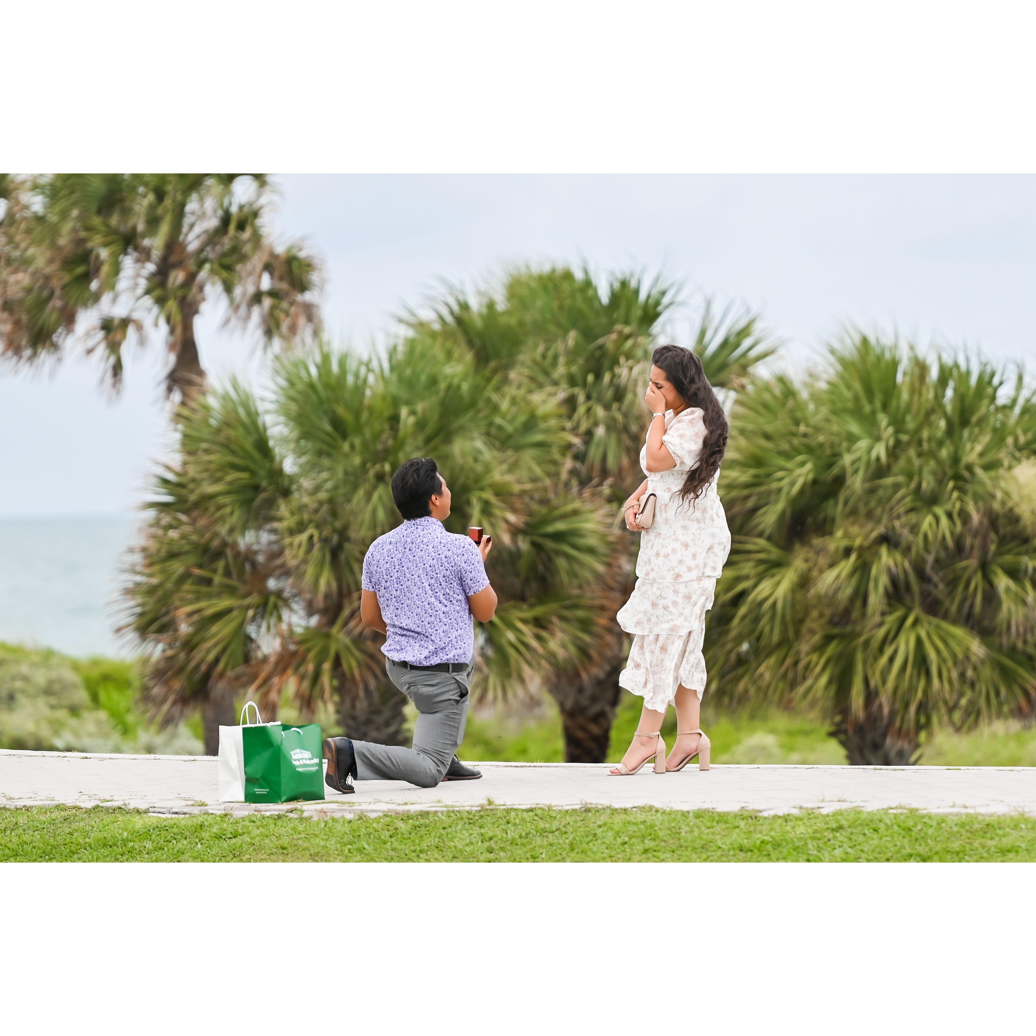 The Proposal!