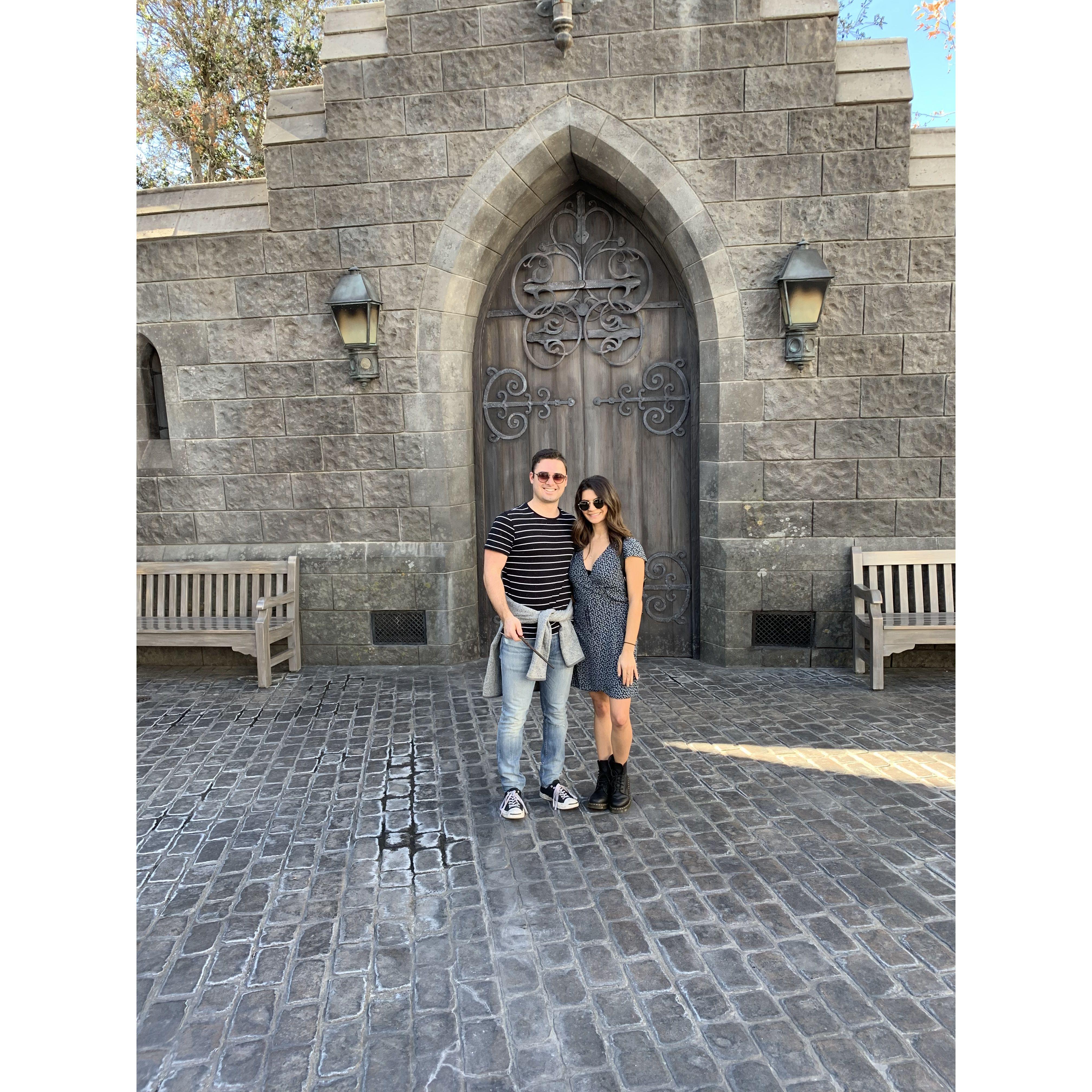 A Slytherin and a Gryffindor walk into Hogsmeade.