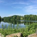 Rockefeller State Park Preserve