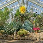Phipps Conservatory and Botanical Gardens