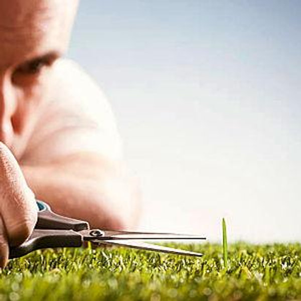 Lawn Care & Gardening