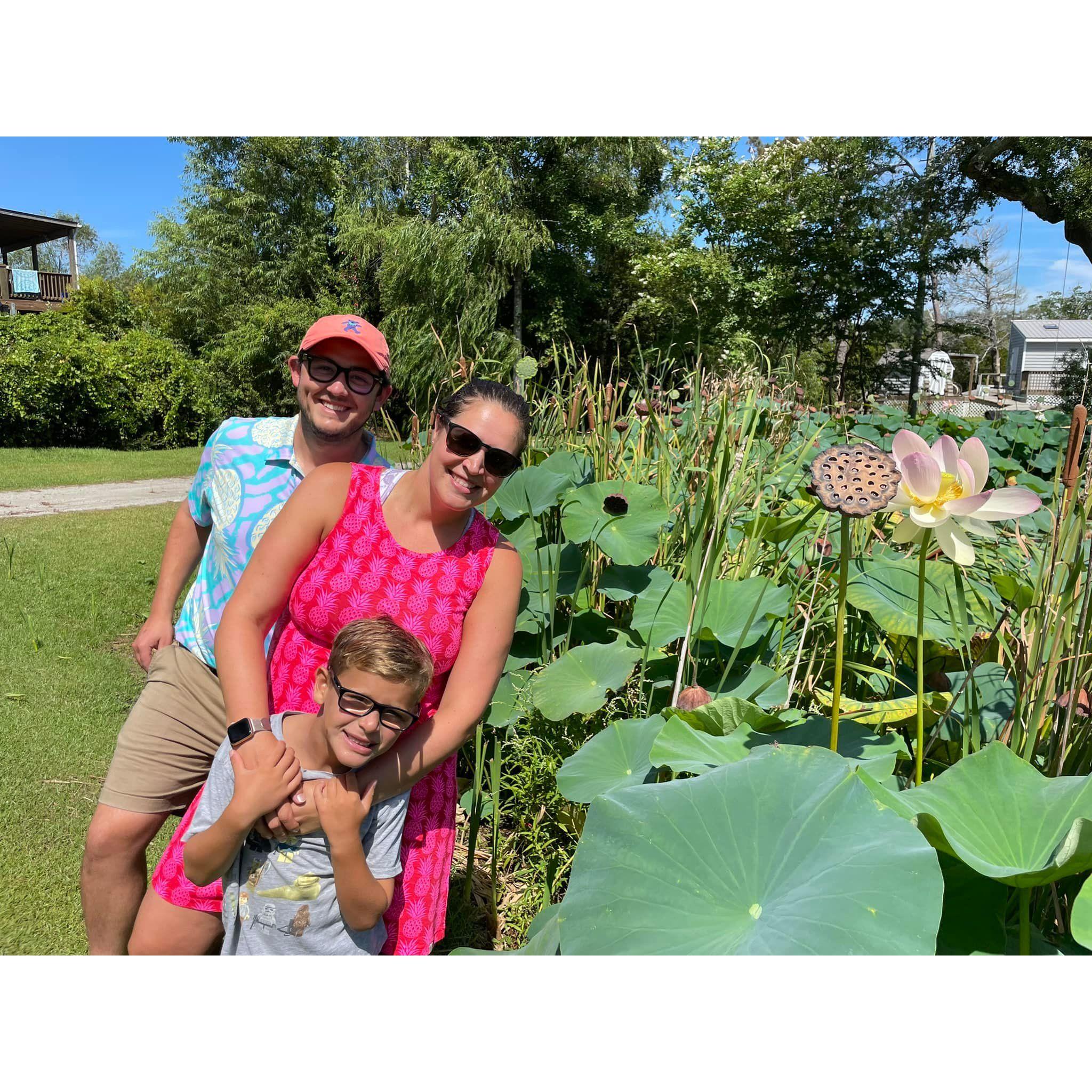 The side of the road in one of the Carolinas maybe? Lilly pads that were "so cool we had to stop"