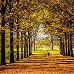 St. James Farm Forest Preserve