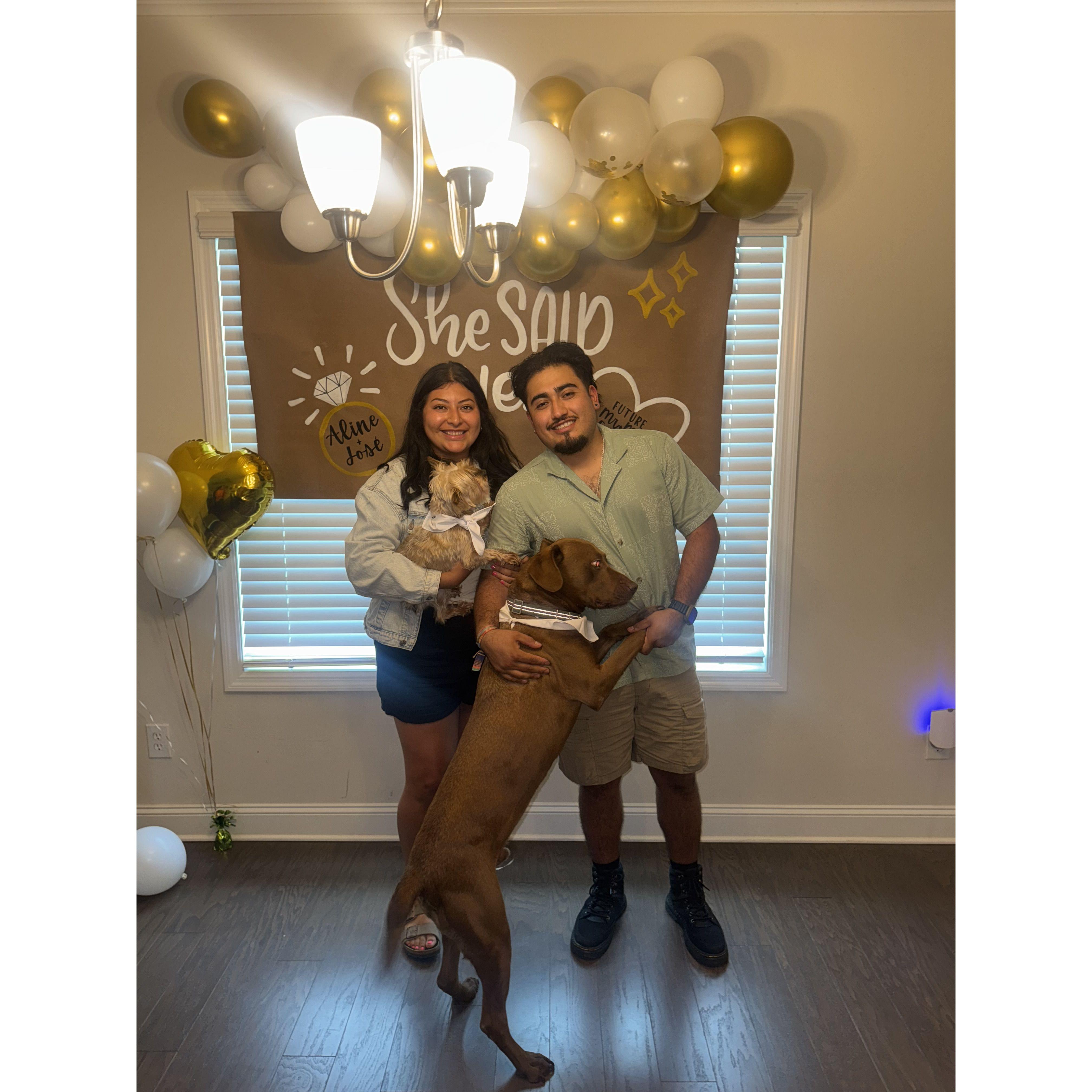 engagement surprise party