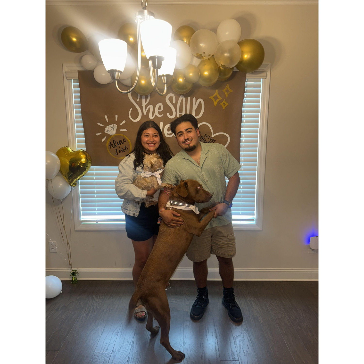 engagement surprise party