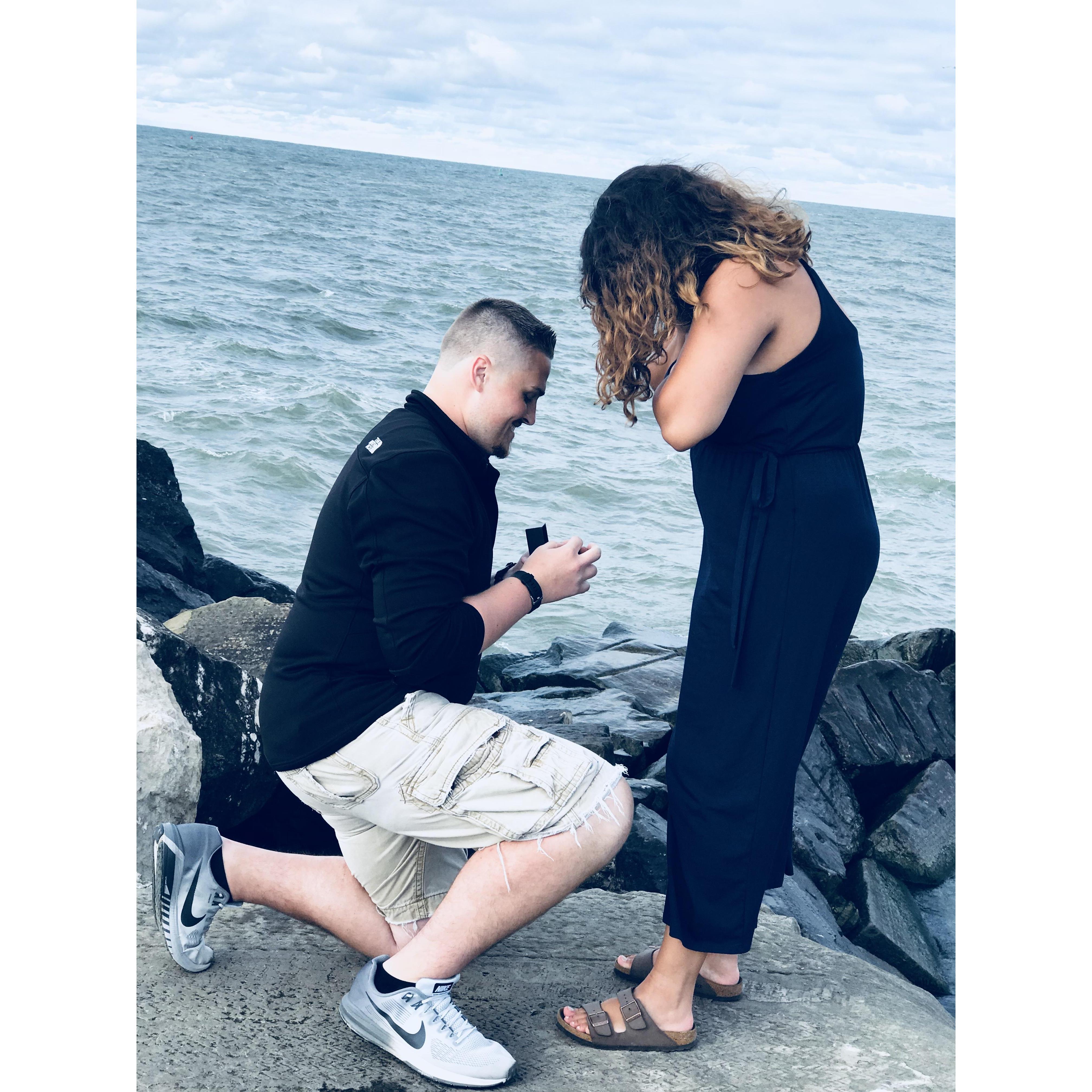 The proposal!