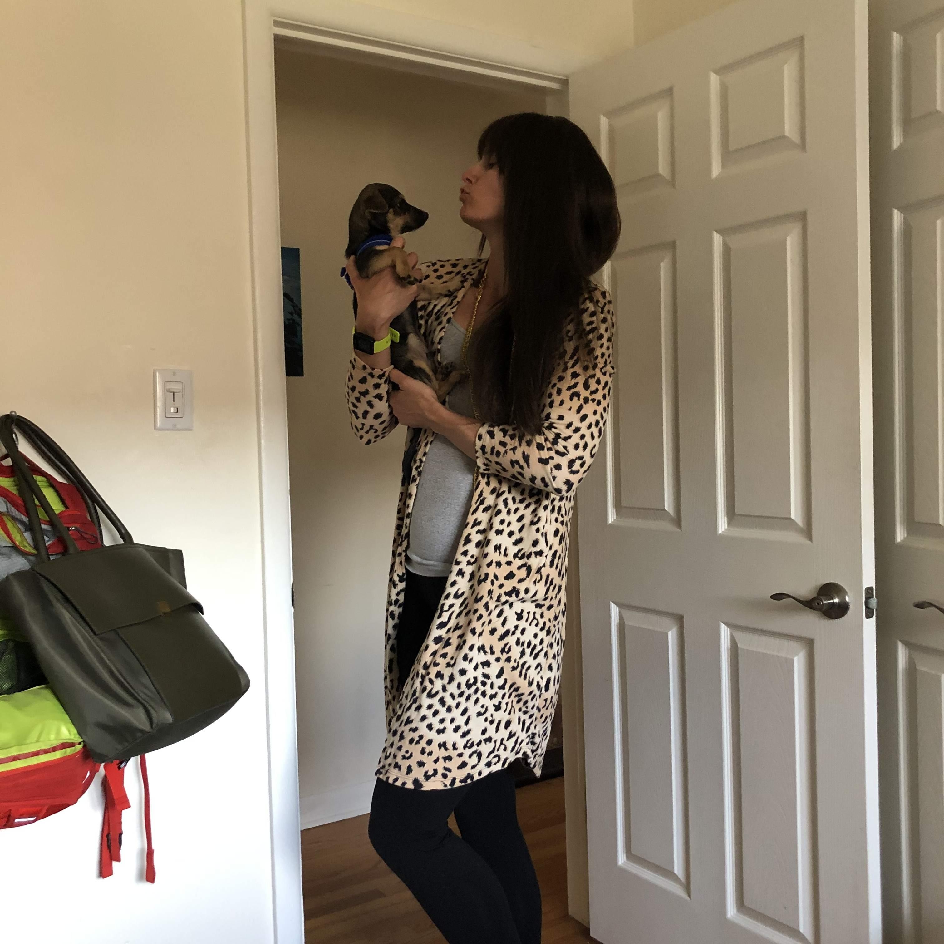 Our first purse size dog. 