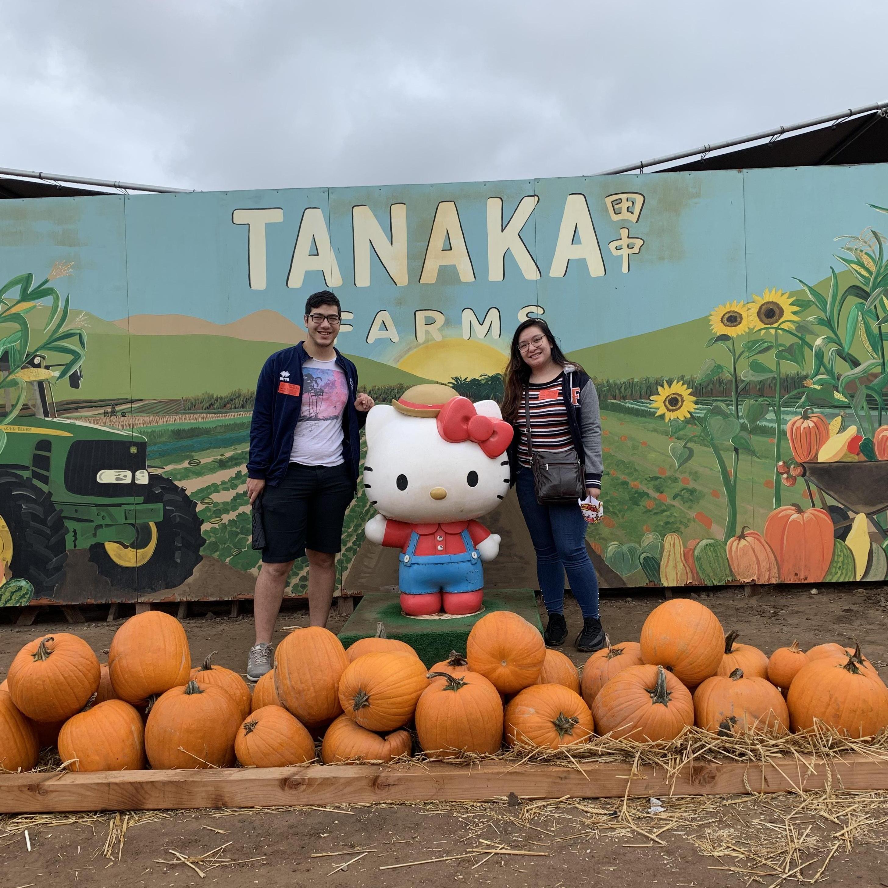 Picking Pumpkins with Hello Kitty at Tanaka Farms~