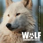 Wolf Conservation Center