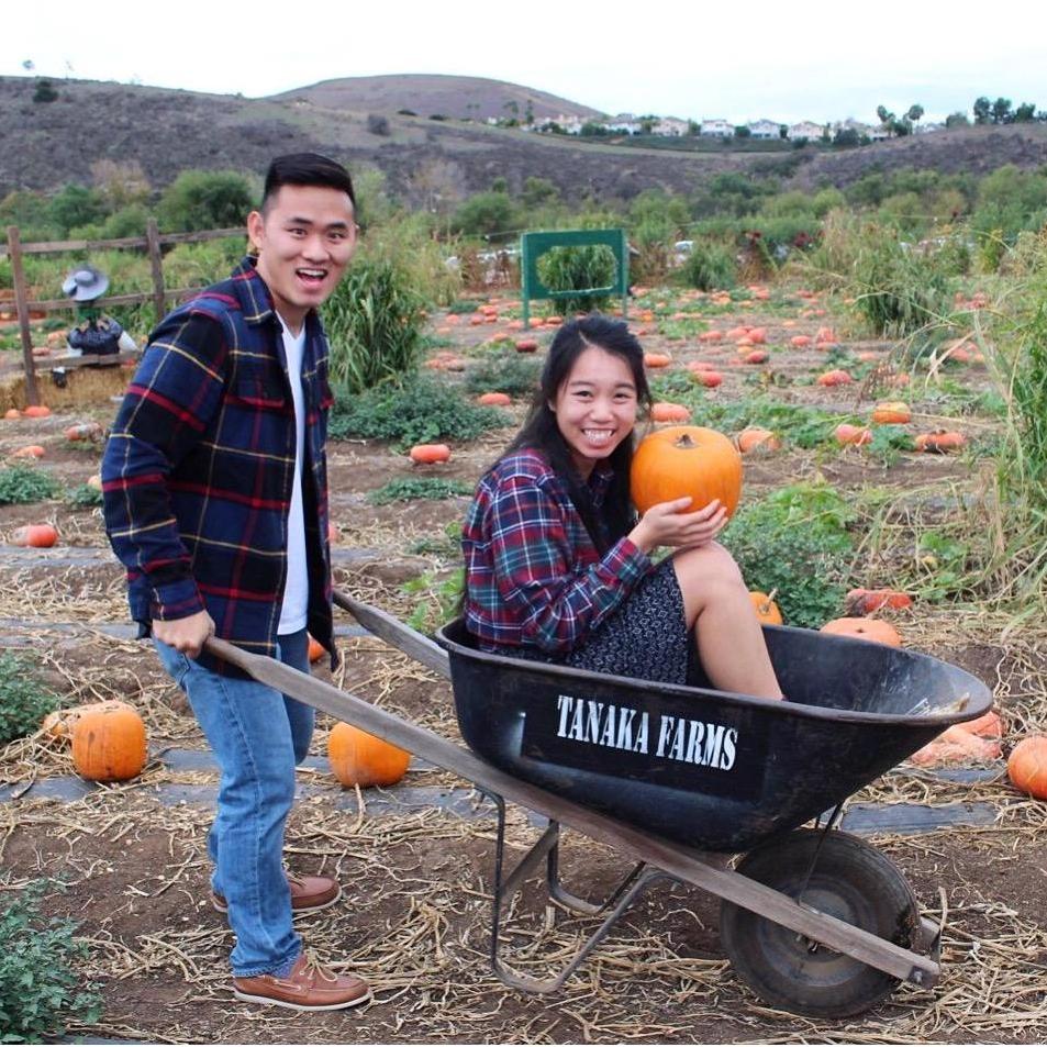 10/2016 - Pumpkin picking in Tanaka Farms
Irvine, CA