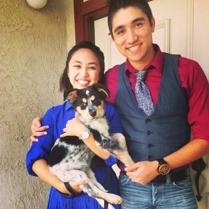when Darwin came into our lives (Torrance, CA)