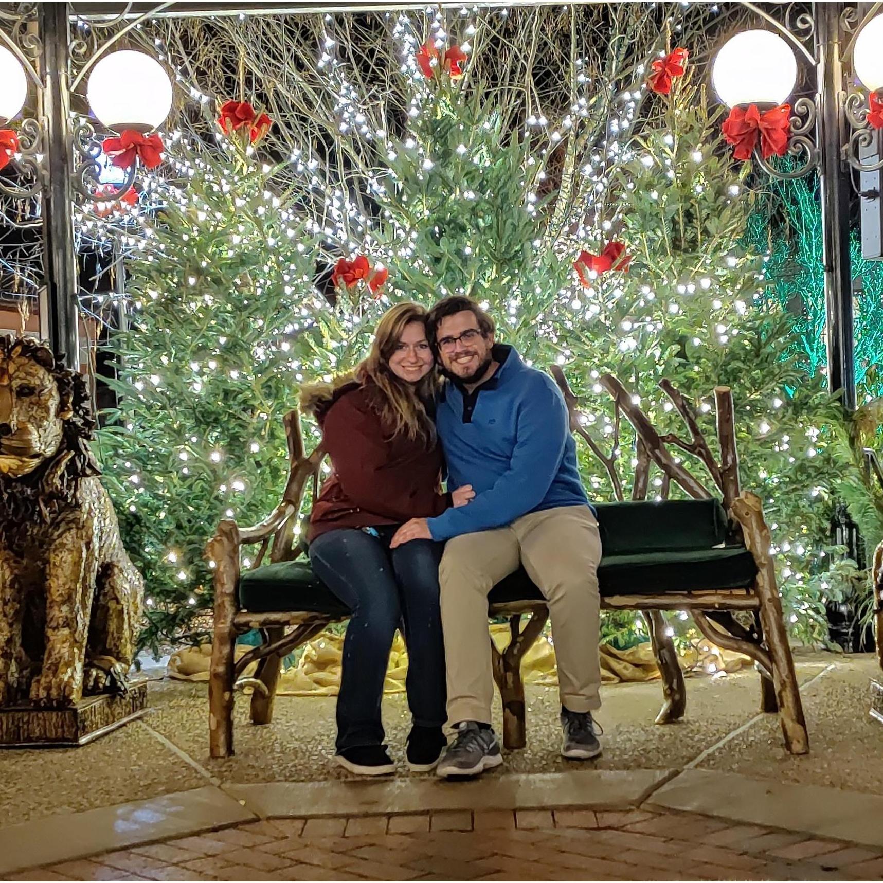 On the Biltmore grounds at Christmas time