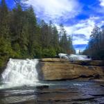 Dupont State Forest