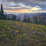 Enjoy the Views at Lobo Overlook