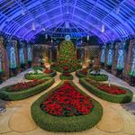 Phipps Conservatory and Botanical Gardens