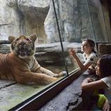 Jacksonville Zoo and Botanical Gardens