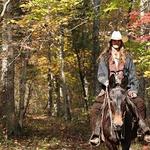 Shangrila Guest Ranch